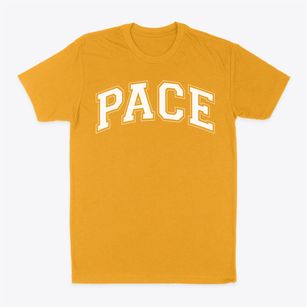 Pace Academy Varsity Arch Classic Dad T-Shirt