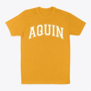 Aquin Catholic High School Varsity Arch Classic Dad T-Shirt