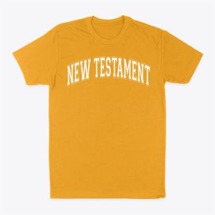 New Testament Christian School Varsity Arch Classic Dad T-Shirt