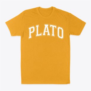 Plato High School Varsity Arch Classic Dad T-Shirt