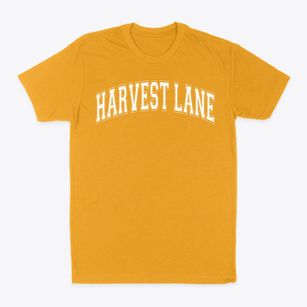 Harvest Lane Christian Academy Varsity Arch Classic Dad T-Shirt