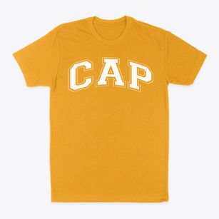 Community Academy Of Philadelphia Varsity Arch Classic Dad T-Shirt
