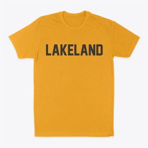Lakeland New York Classic Block Classic Dad T-Shirt