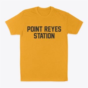 Point Reyes Station California Classic Block Classic Dad T-Shirt
