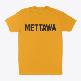 Mettawa Illinois Classic Block Classic Dad T-Shirt