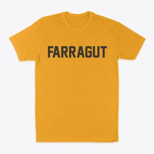 Farragut Iowa Classic Block Classic Dad T-Shirt