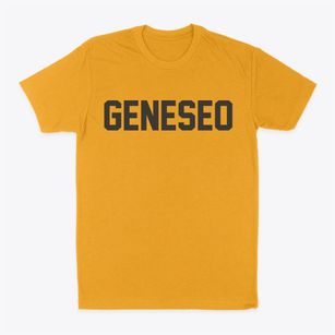 Geneseo New York Classic Block Classic Dad T-Shirt