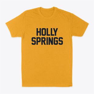 Holly Springs North Carolina Classic Block Classic Dad T-Shirt