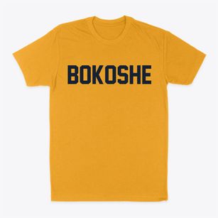 Bokoshe Oklahoma Classic Block Classic Dad T-Shirt
