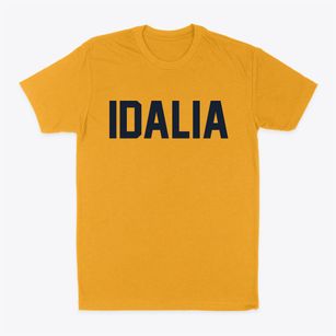 Idalia Colorado Classic Block Classic Dad T-Shirt