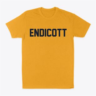Endicott New York Classic Block Classic Dad T-Shirt