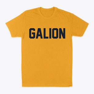 Galion Ohio Classic Block Classic Dad T-Shirt