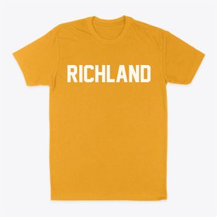 Richland New York Classic Block Classic Dad T-Shirt