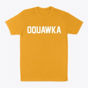 Oquawka Illinois Classic Block Classic Dad T-Shirt