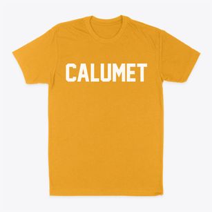 Calumet Michigan Classic Block Classic Dad T-Shirt