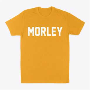 Morley Michigan Classic Block Classic Dad T-Shirt