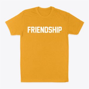 Friendship Ohio Classic Block Classic Dad T-Shirt