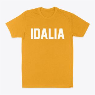 Idalia Colorado Classic Block Classic Dad T-Shirt