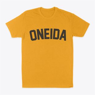 Oneida Wisconsin Classic Curve Classic Dad T-Shirt