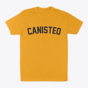 Canisteo New York Classic Curve Classic Dad T-Shirt