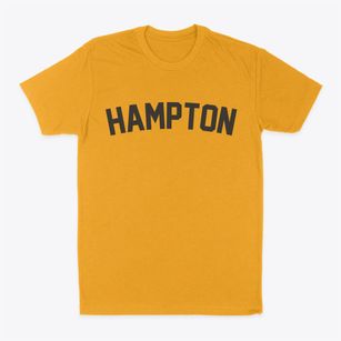 Hampton South Carolina Classic Curve Classic Dad T-Shirt