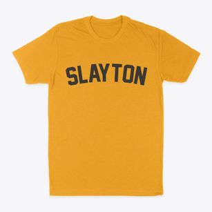 Slayton Minnesota Classic Curve Classic Dad T-Shirt