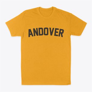 Andover New York Classic Curve Classic Dad T-Shirt