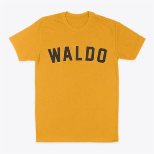 Waldo Arkansas Classic Curve Classic Dad T-Shirt