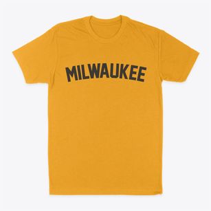 Milwaukee Wisconsin Classic Curve Classic Dad T-Shirt