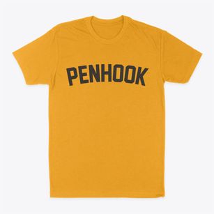 Penhook Virginia Classic Curve Classic Dad T-Shirt