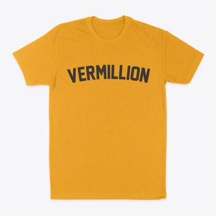 Vermillion Minnesota Classic Curve Classic Dad T-Shirt