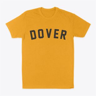 Dover New Jersey Classic Curve Classic Dad T-Shirt