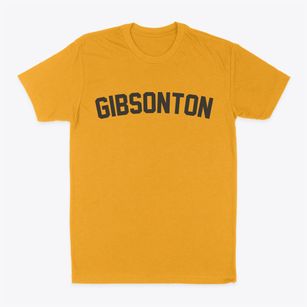 Gibsonton Florida Classic Curve Classic Dad T-Shirt