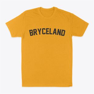 Bryceland Louisiana Classic Curve Classic Dad T-Shirt