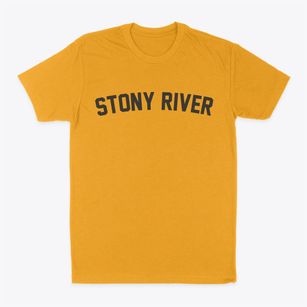 Stony River Alaska Classic Curve Classic Dad T-Shirt