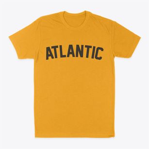 Atlantic Pennsylvania Classic Curve Classic Dad T-Shirt