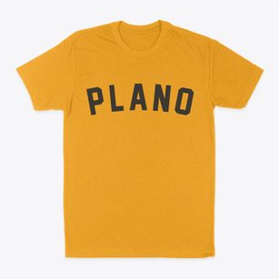 Plano Texas Classic Curve Classic Dad T-Shirt
