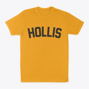 Hollis New Hampshire Classic Curve Classic Dad T-Shirt