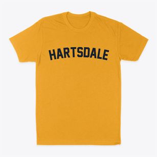 Hartsdale New York Classic Curve Classic Dad T-Shirt