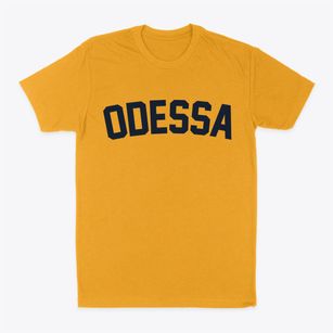 Odessa Missouri Classic Curve Classic Dad T-Shirt