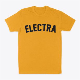 Electra Texas Classic Curve Classic Dad T-Shirt