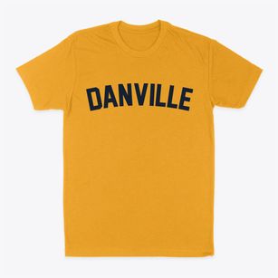 Danville Illinois Classic Curve Classic Dad T-Shirt