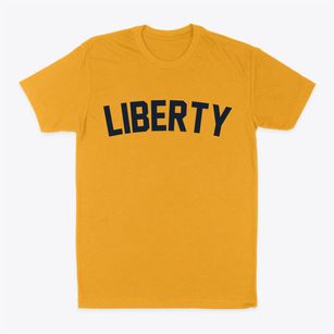 Liberty Utah Classic Curve Classic Dad T-Shirt