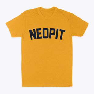 Neopit Wisconsin Classic Curve Classic Dad T-Shirt