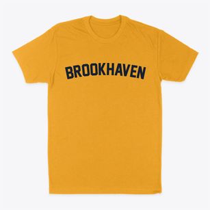 Brookhaven New York Classic Curve Classic Dad T-Shirt