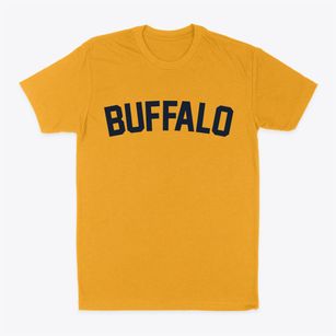 Buffalo Illinois Classic Curve Classic Dad T-Shirt