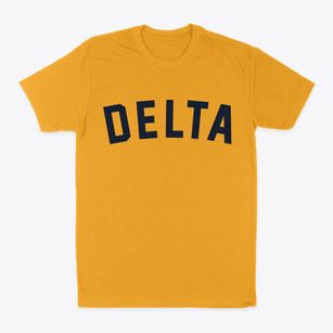 Delta Missouri Classic Curve Classic Dad T-Shirt