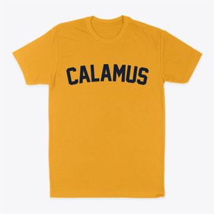 Calamus Iowa Classic Curve Classic Dad T-Shirt