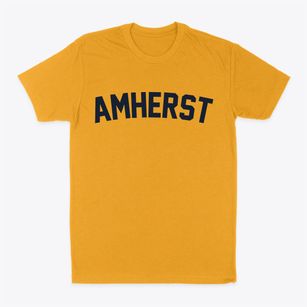 Amherst Nebraska Classic Curve Classic Dad T-Shirt