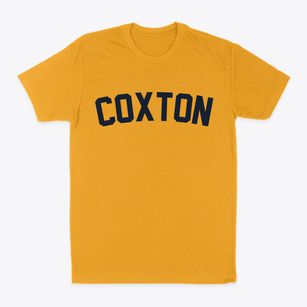 Coxton Kentucky Classic Curve Classic Dad T-Shirt